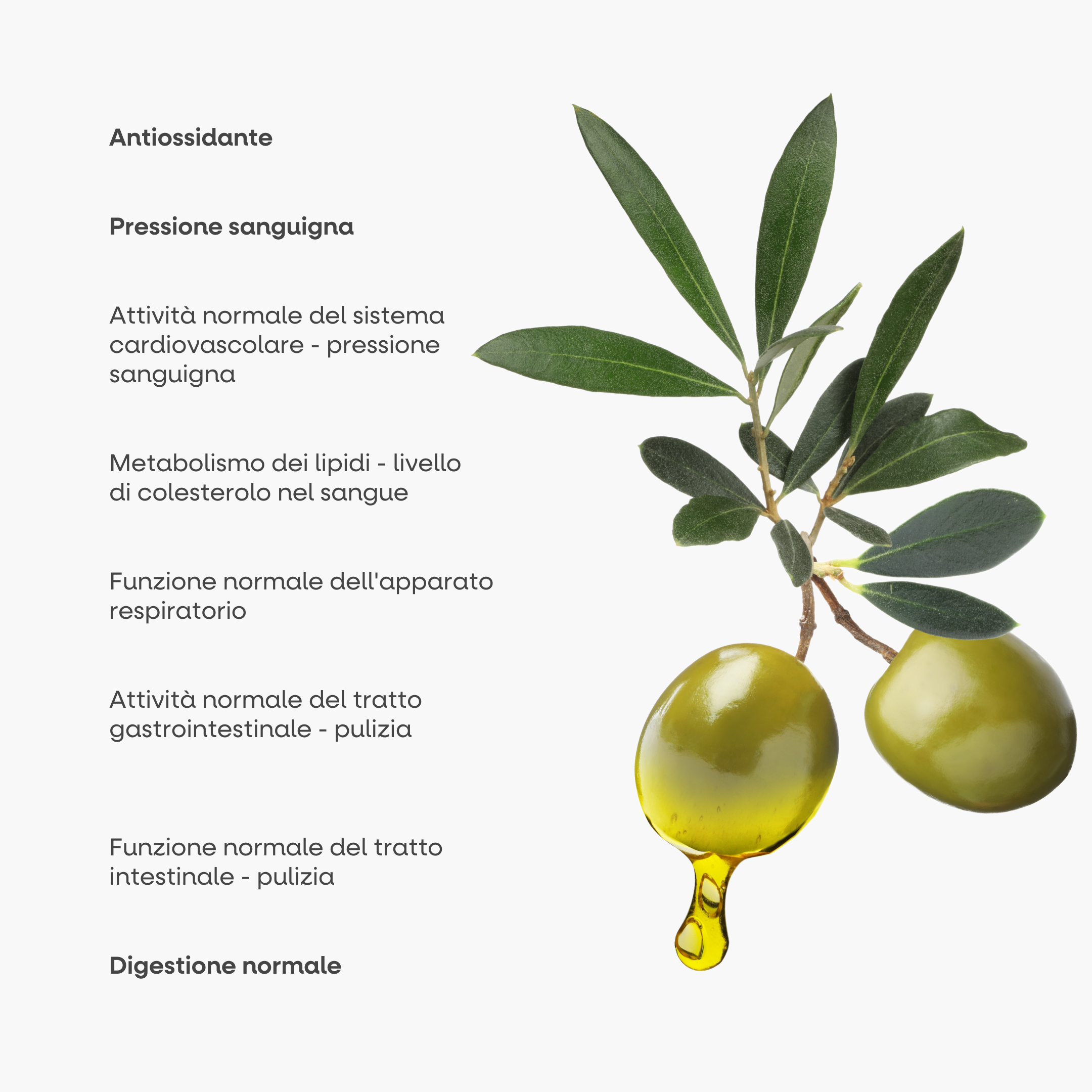 (Italština) (4)